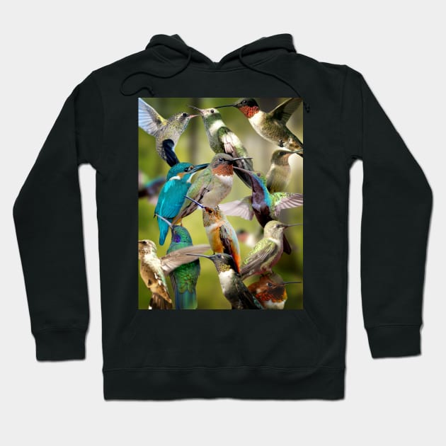 Humming Birds Hoodie by MaxencePierrard